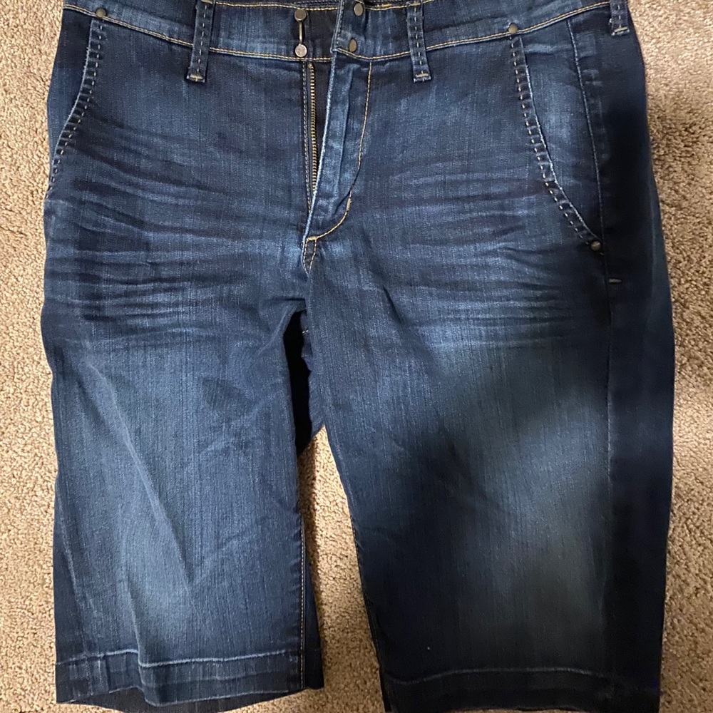 Citizens of humanity long shorts